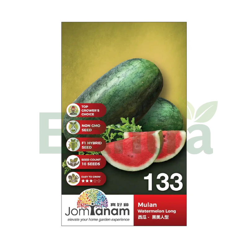 133 WATERMELON LONG